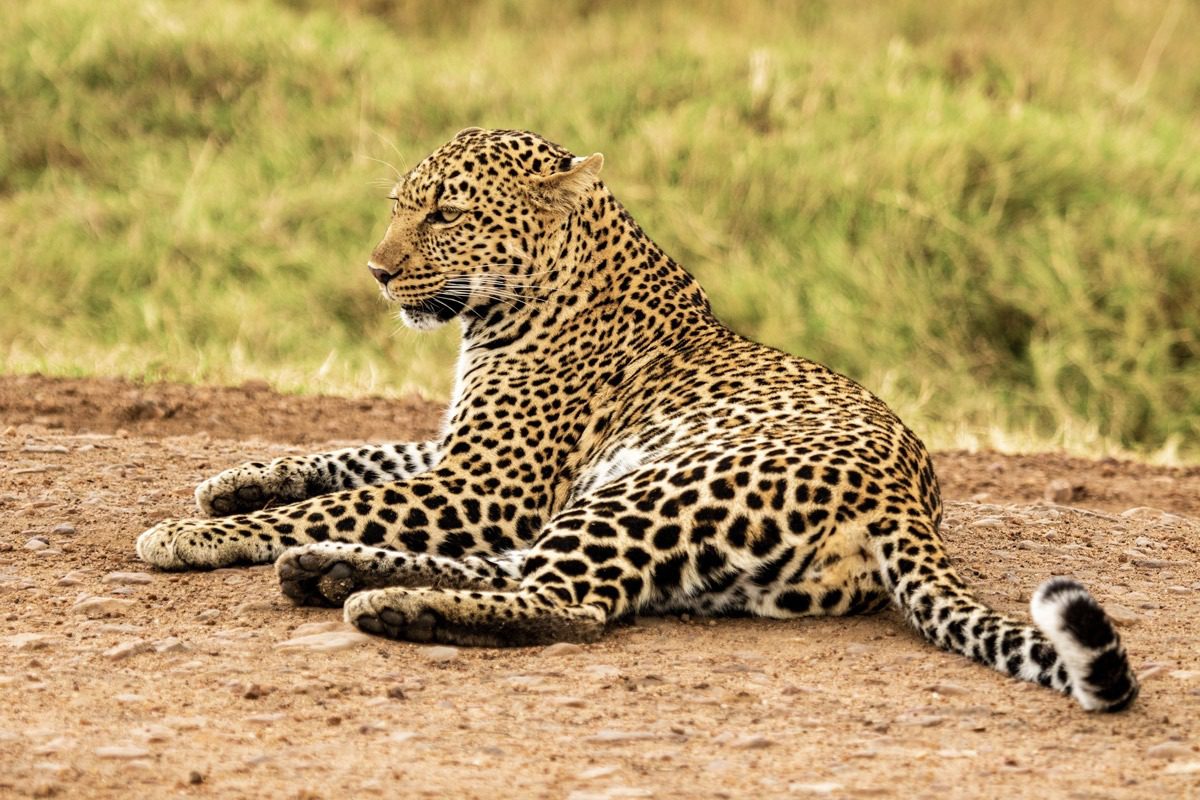 Kenya