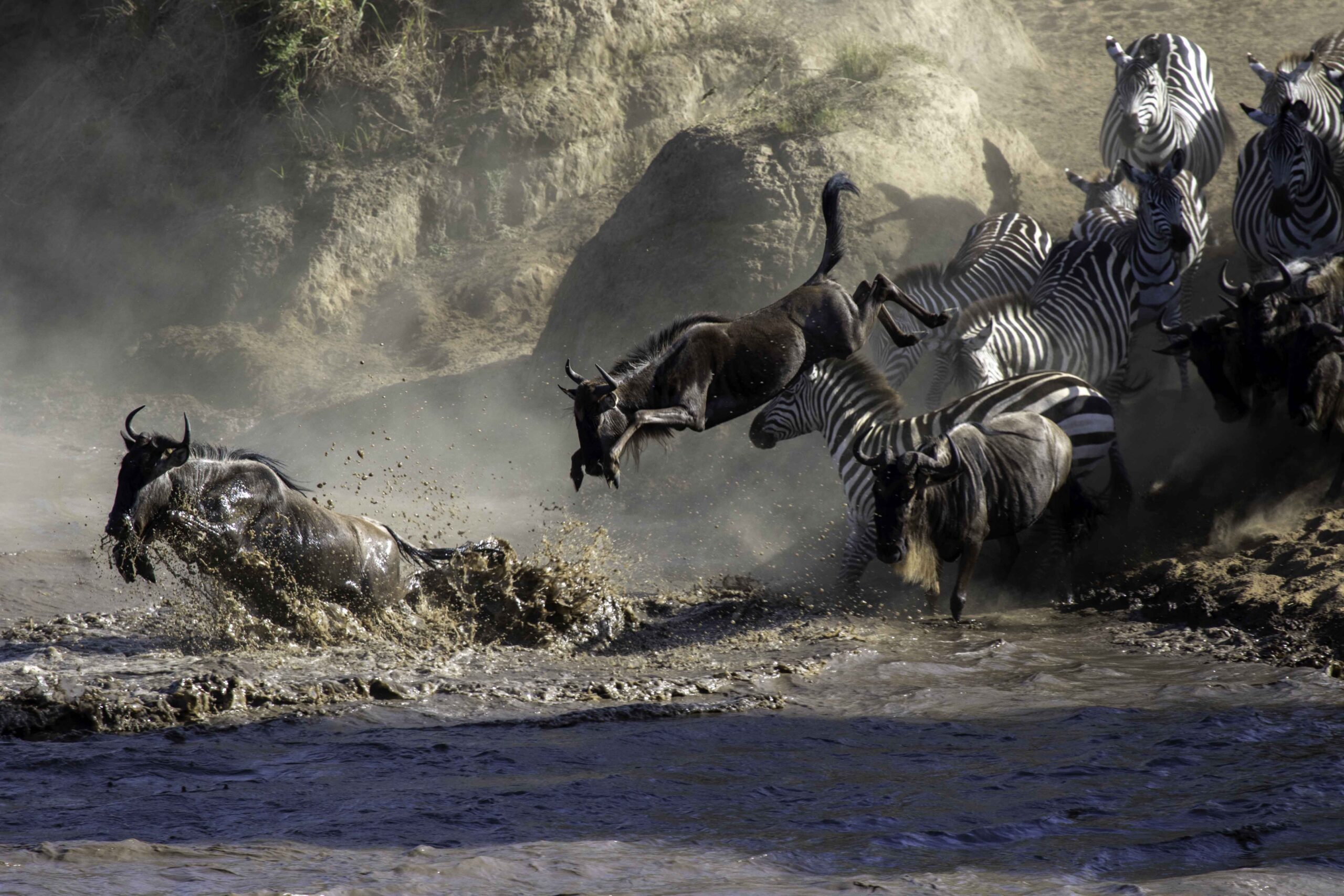 Luxury Safari